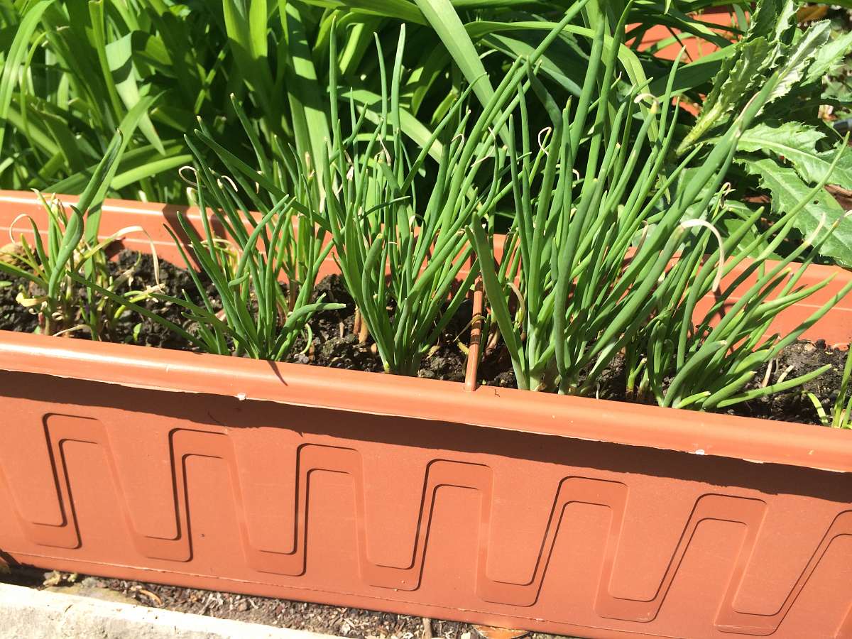 2014-04-27 10-33-58.JPG